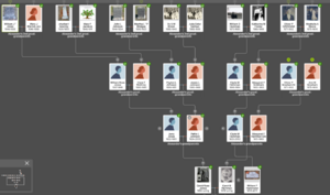 Suspected Jones family tree